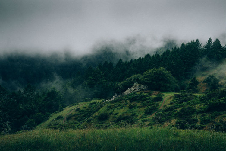 Web漏洞扫描工具